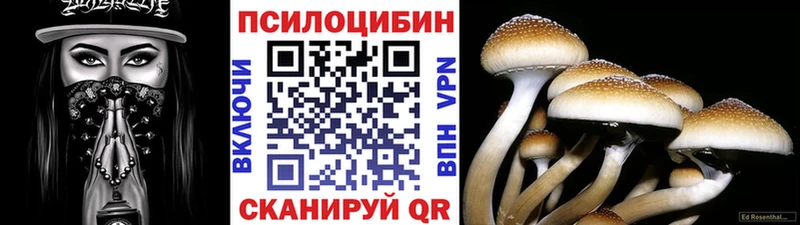 закладка  Симферополь  Галлюциногенные грибы GOLDEN TEACHER 