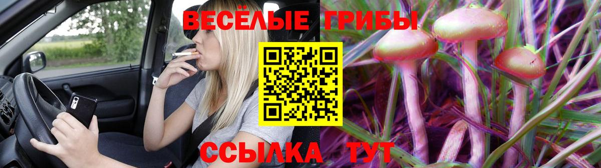 Галлюциногенные грибы Psilocybine cubensis  Вход с VPN  Симферополь  Галлюциногенные грибы MAGIC MUSHROOMS 