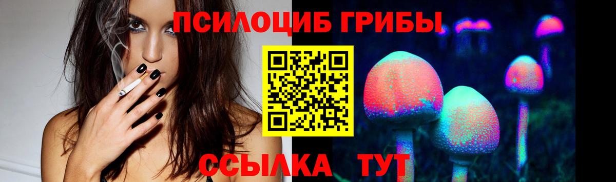 Псилоцибиновые грибы Psilocybe Симферополь